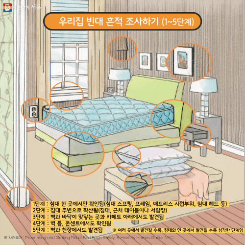 빈대 예방 증상 치료방법 체크리스트