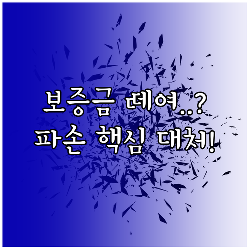 보증금 떼이지 않으려면? 스노보드 장..