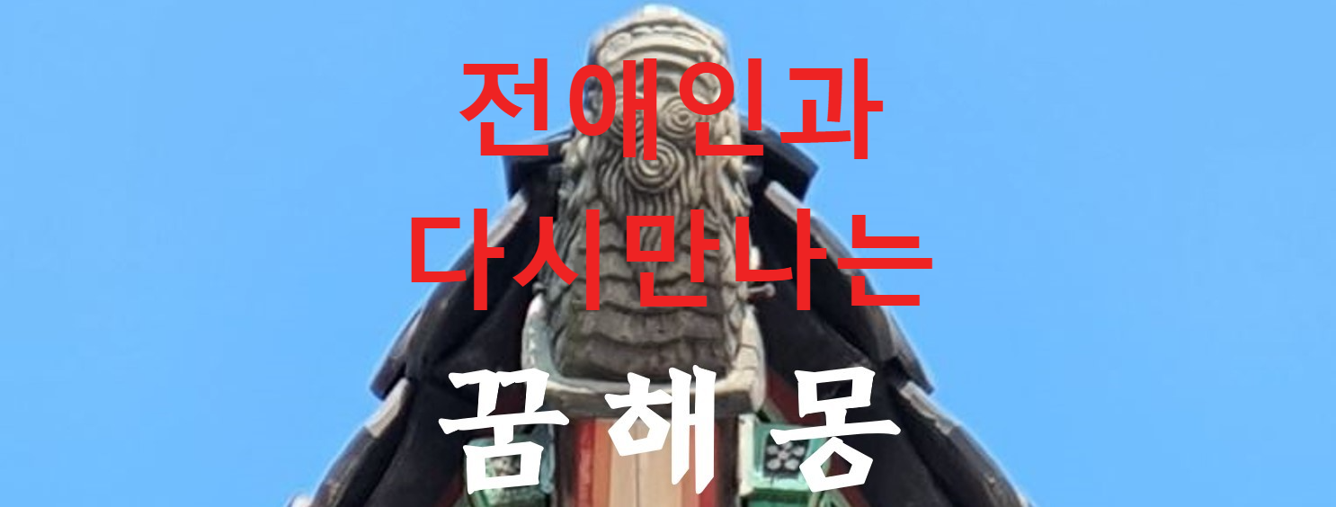 꿈해몽
