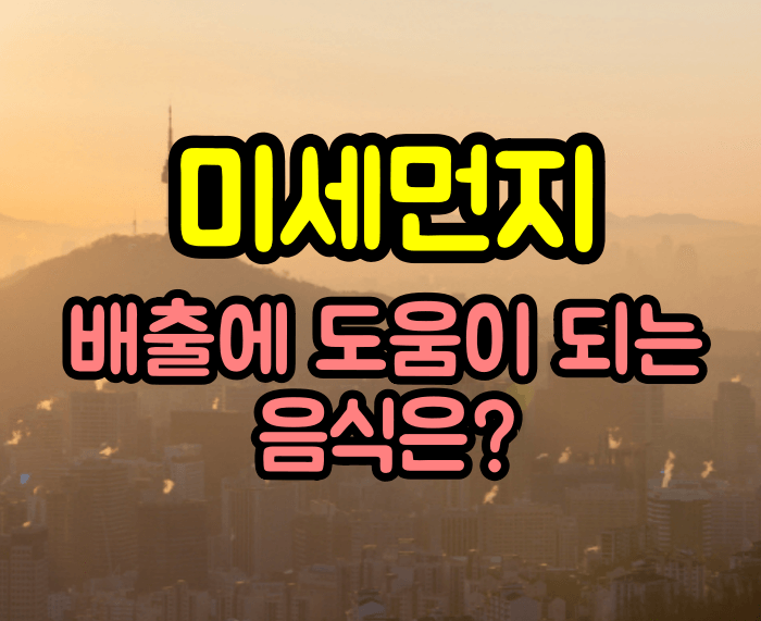 미세먼지 배출에 도움이 되는 음식