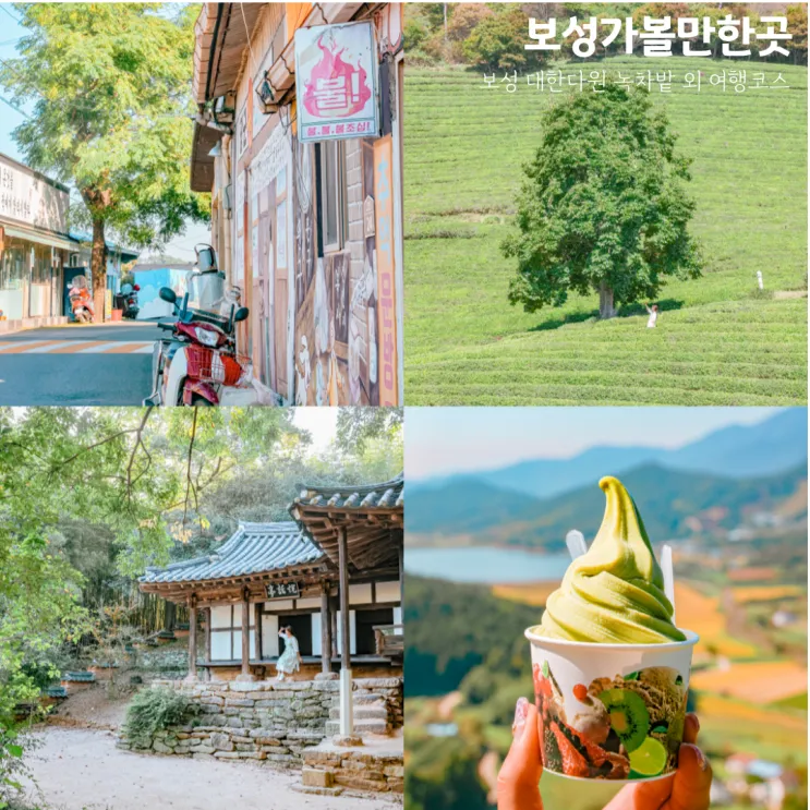보성 가볼만한곳 베스트10 현지인 추천 필수코스_3