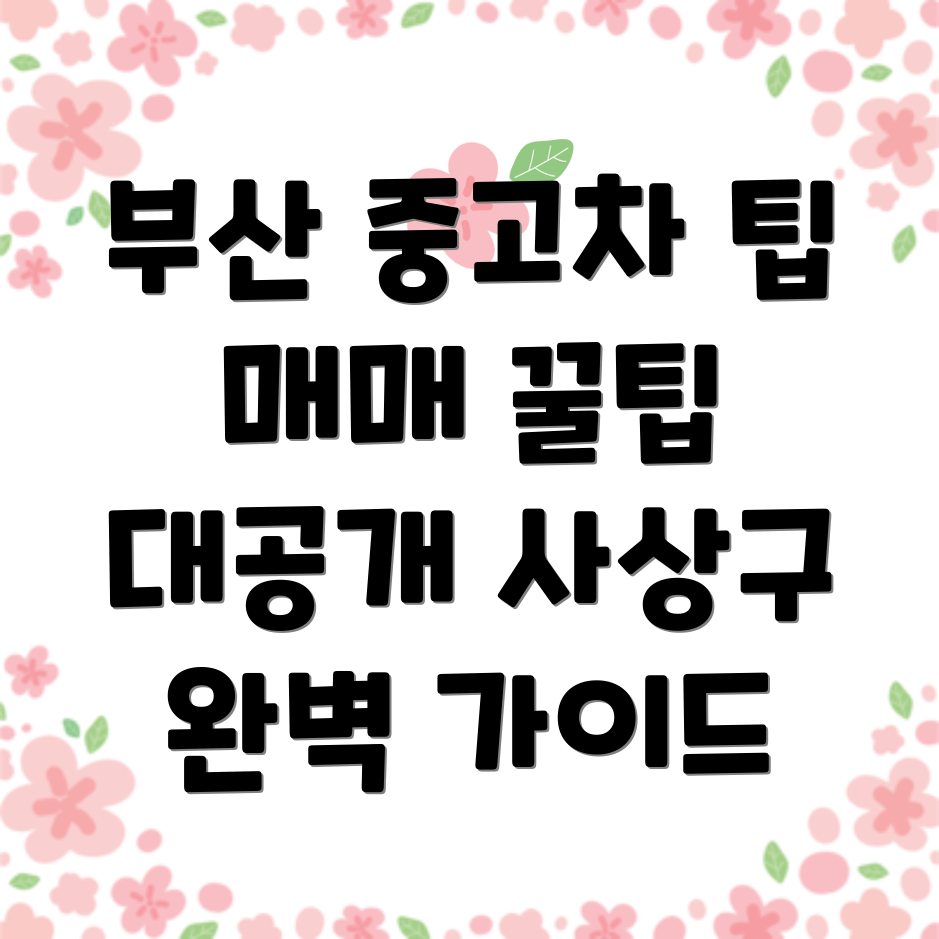 부산 사상구 중고차 매매