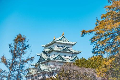 일본 나고야 성의 풍경