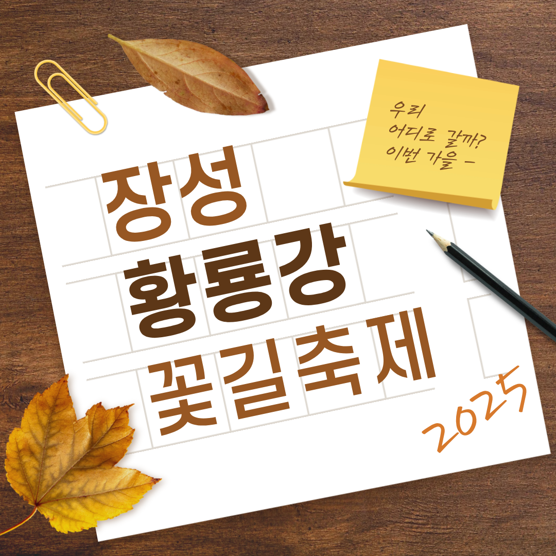 장성 황룡강 꽃길 축제🌸