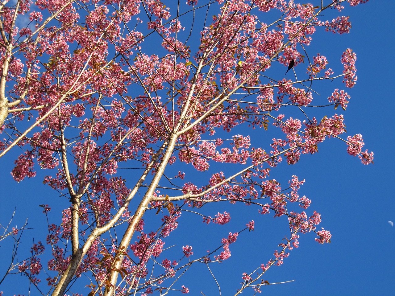 봄이 끝나갈 때, 놓치면 후회하는 것들 관련 사진