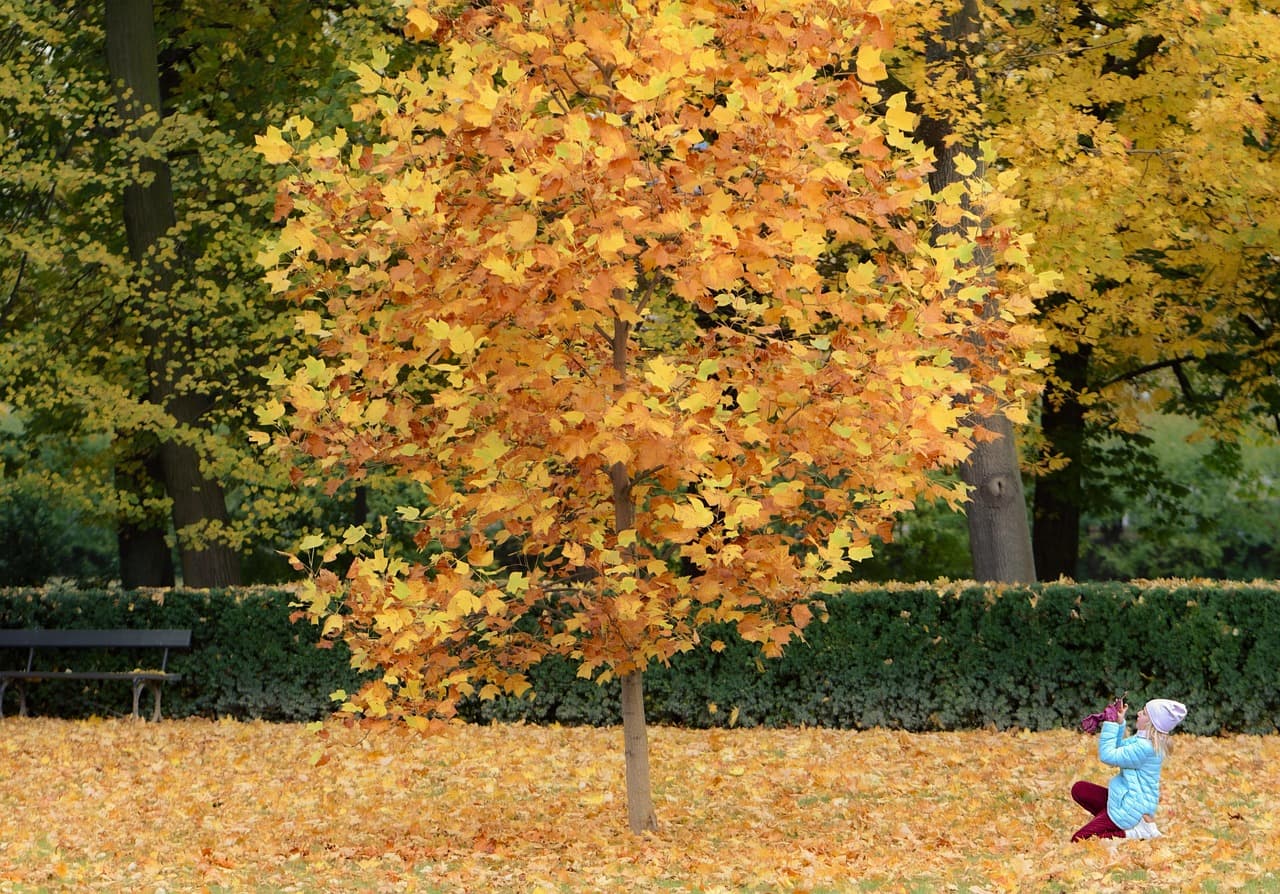 홈캠&middot;AI 카메라를 활용한 비대면 택배 수령 및 관리 자동화