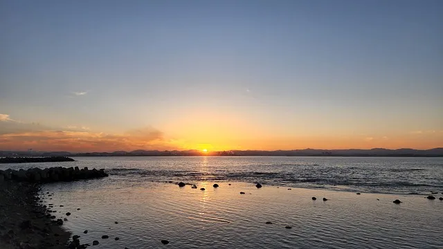경북 포항 맛집 베스트 10 해산물 찐맛집_3