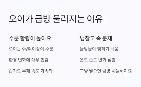 오이 금방 물러지는 이유