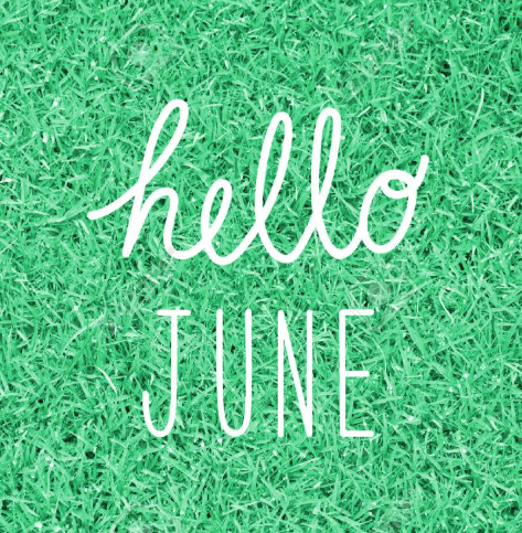 6월 인사말 가정통신문 계절 여름 문구 상황별 안부 문자 TOP 30