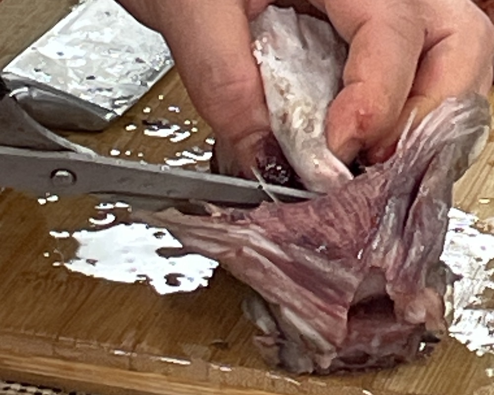 한식조리기능사 실기시험 준비 - 생선찌개 - 아가미 제거하기