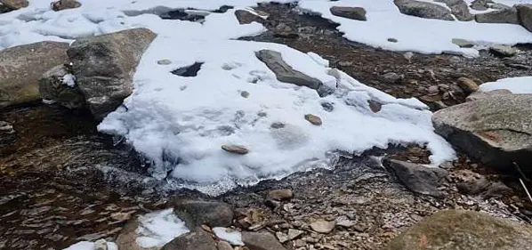 국립백운산자연휴양림