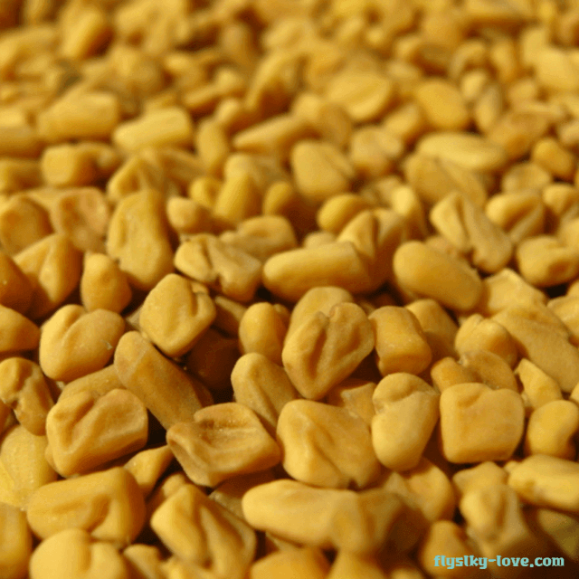 당뇨에 효과적인 호로파씨