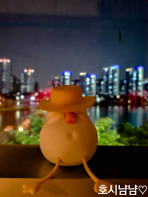 카멜레온 다이닝 창가에서 보이는 하남 미사 호수공원 야경