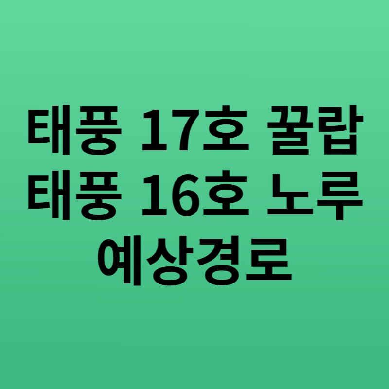 태풍17호꿀랍태풍16호노루 썸네일