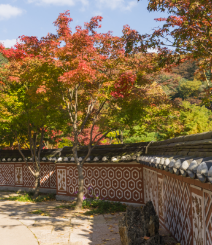 화담숲 예약
