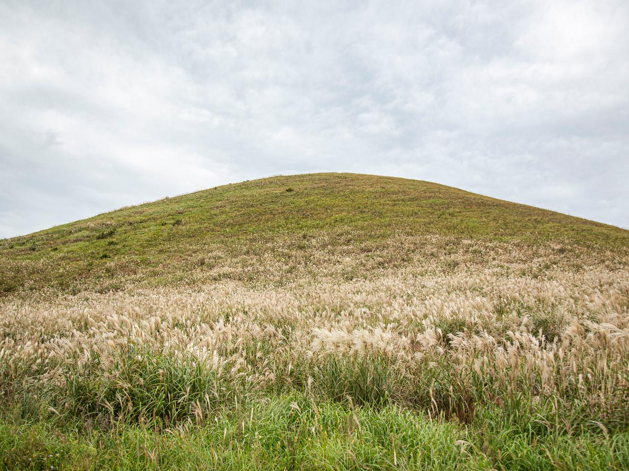 새별오름 관련 사진