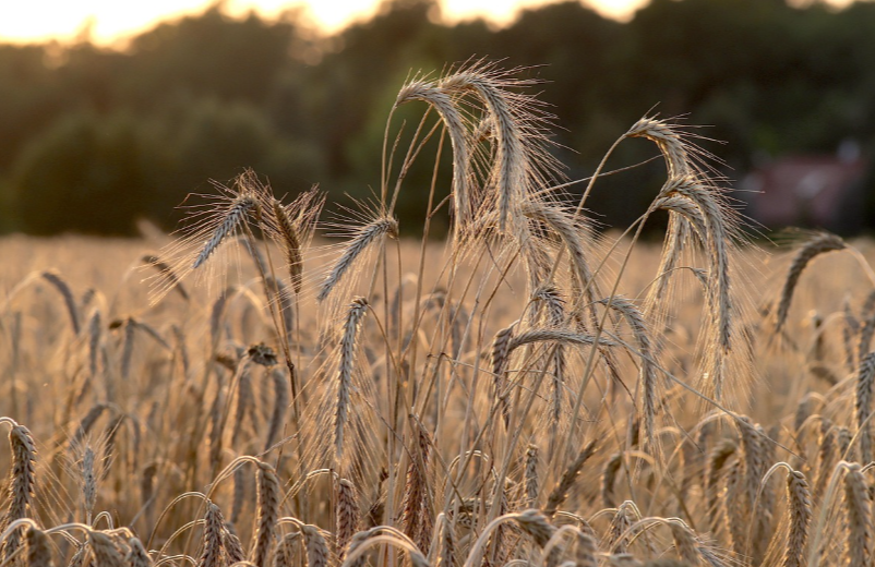 지목 변경 소요 기간
