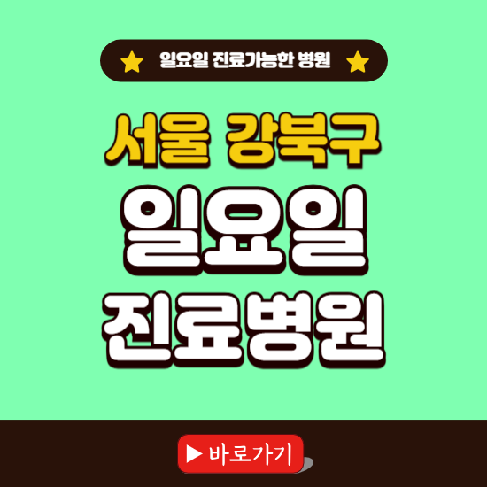 서울 강북구 일요일 진료 가능한 병원 ❘ 주말 문여는 곳 총정리 (소아과, 내과, 안과, 치과, 피부과, 정형외과, 산부인과)