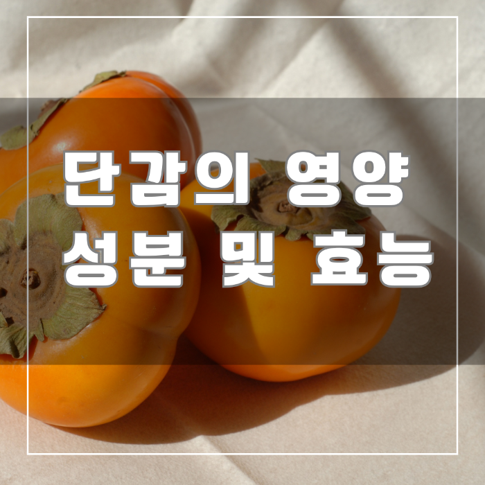 단감의 영양 성분 및 효능