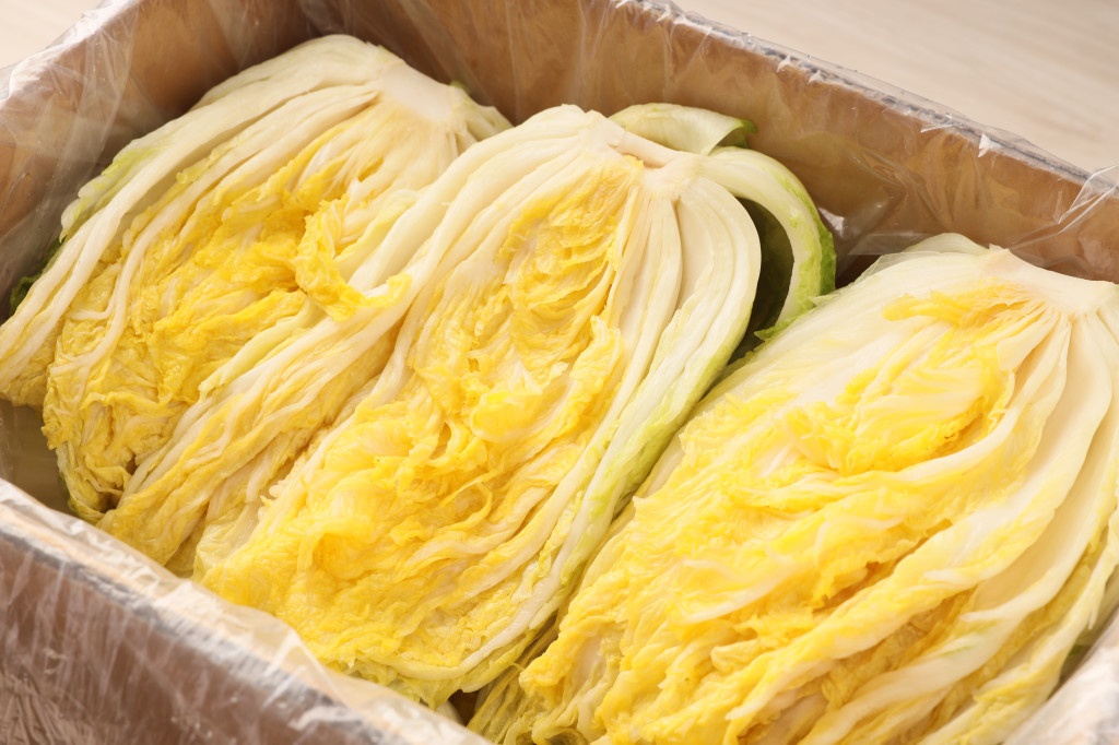 해남절임배추 주문하기(가격)