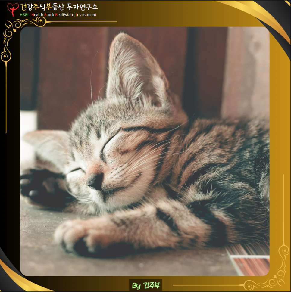 카모마일 효능과 올바른 섭취법

(글 그림 : 건주부, 그림 출처 : Canva)