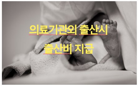의료기관 외 출산