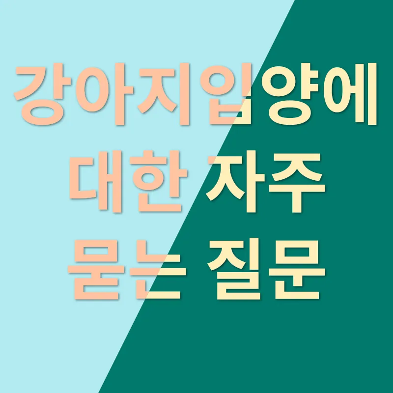 애견 입양 이야기_4