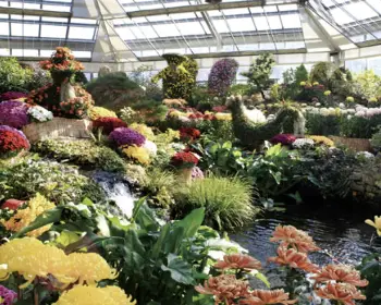 아침고요수목원_11