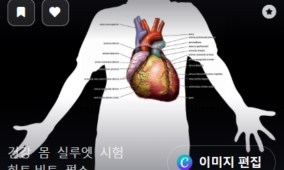 고혈압 정상수치로 낮추는 5가지 방법
