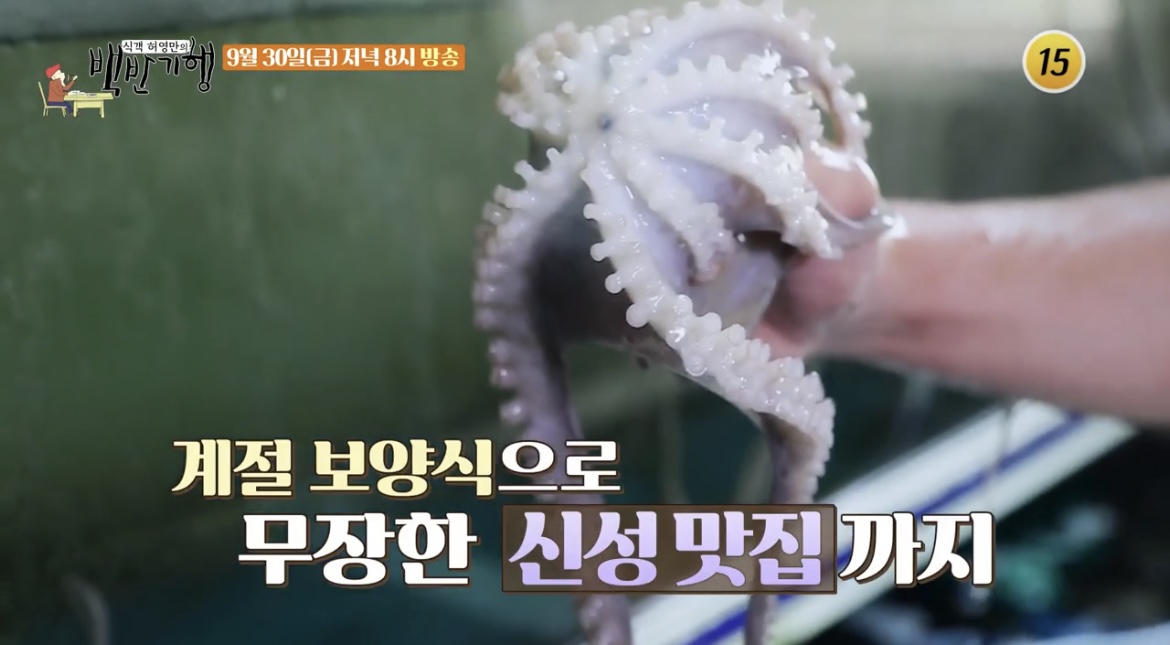 백반기행광주낙지집낙지