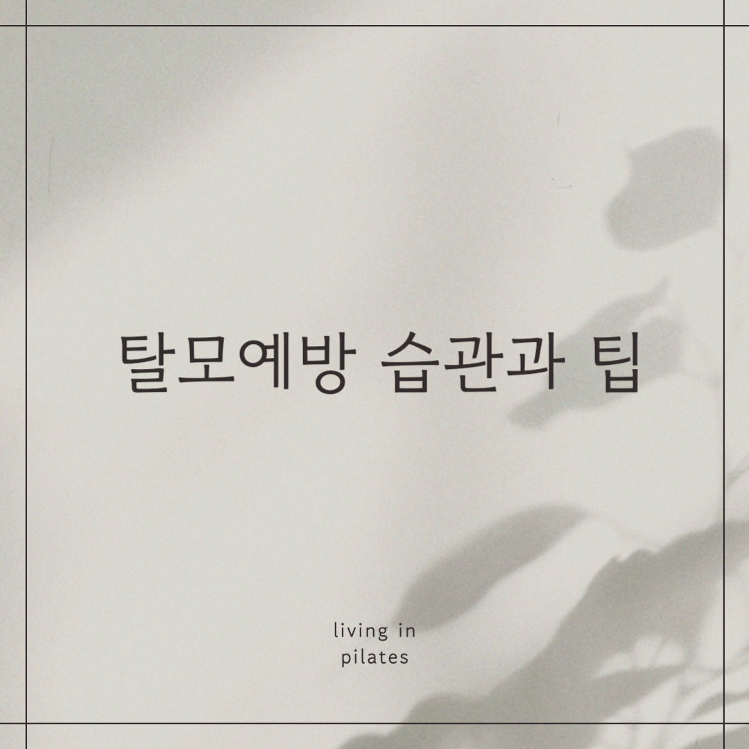 탈모예방 습관과 팁