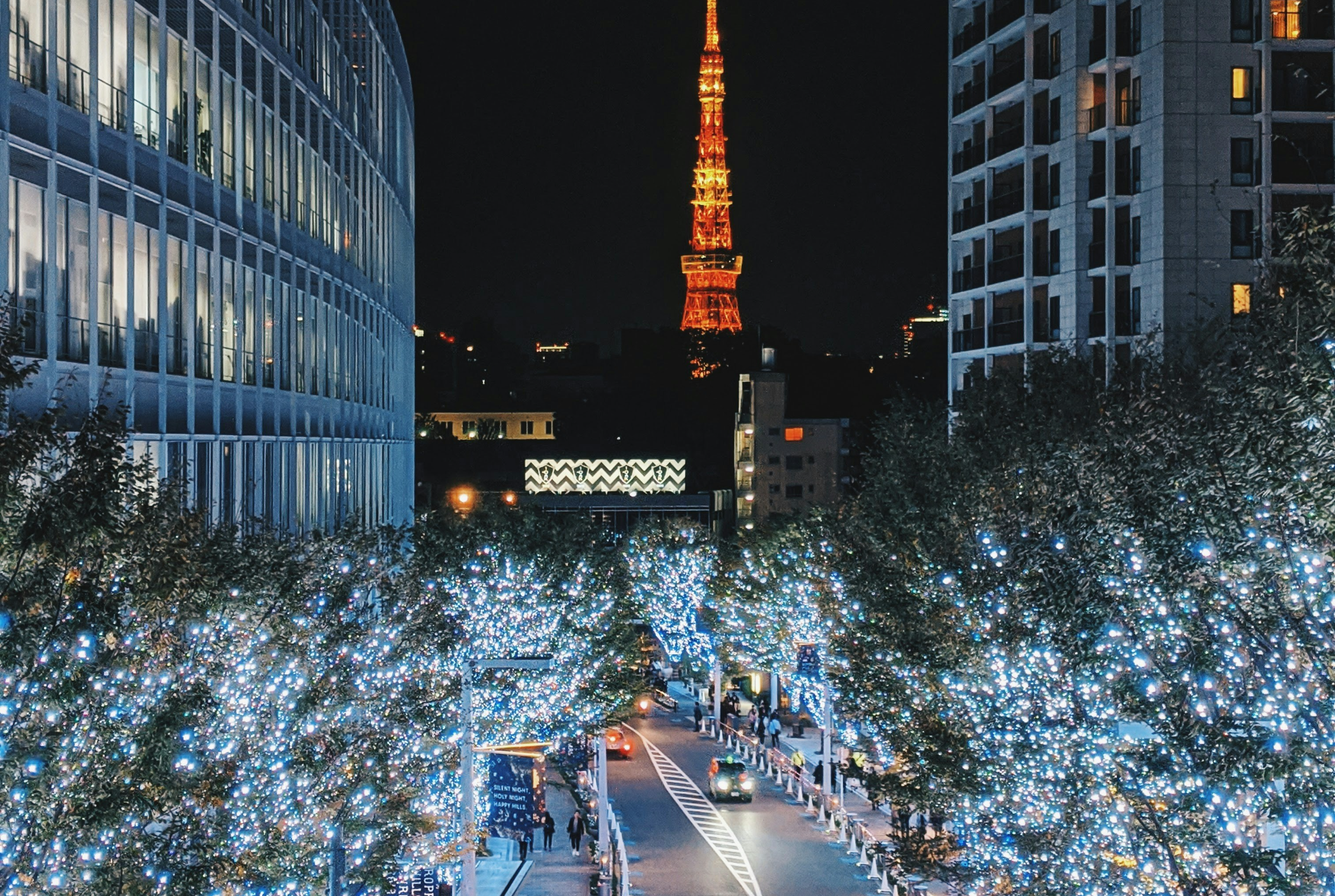 일본 도쿄 롯폰기 힐즈 거리를 조명으로 환하게 밝힌 '빛의 거리'. 크리스마스에 진심인 편.