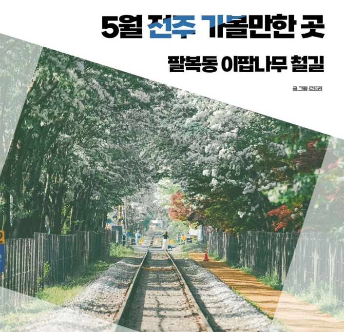전주 이팝나무 철길 축제
