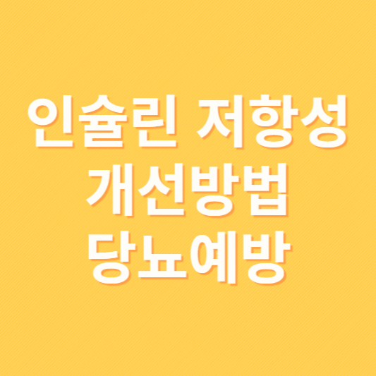 인슐린 저항성 개선하는 방법