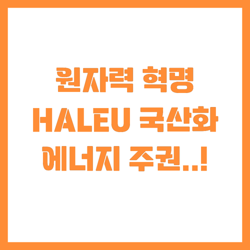 차세대 원자로 연료 HALEU 국내 ..