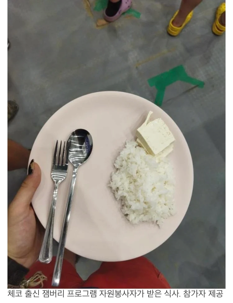 잼버리에서 제공한 식사