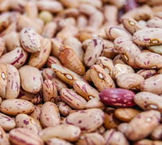 알부민 부작용 복용시간