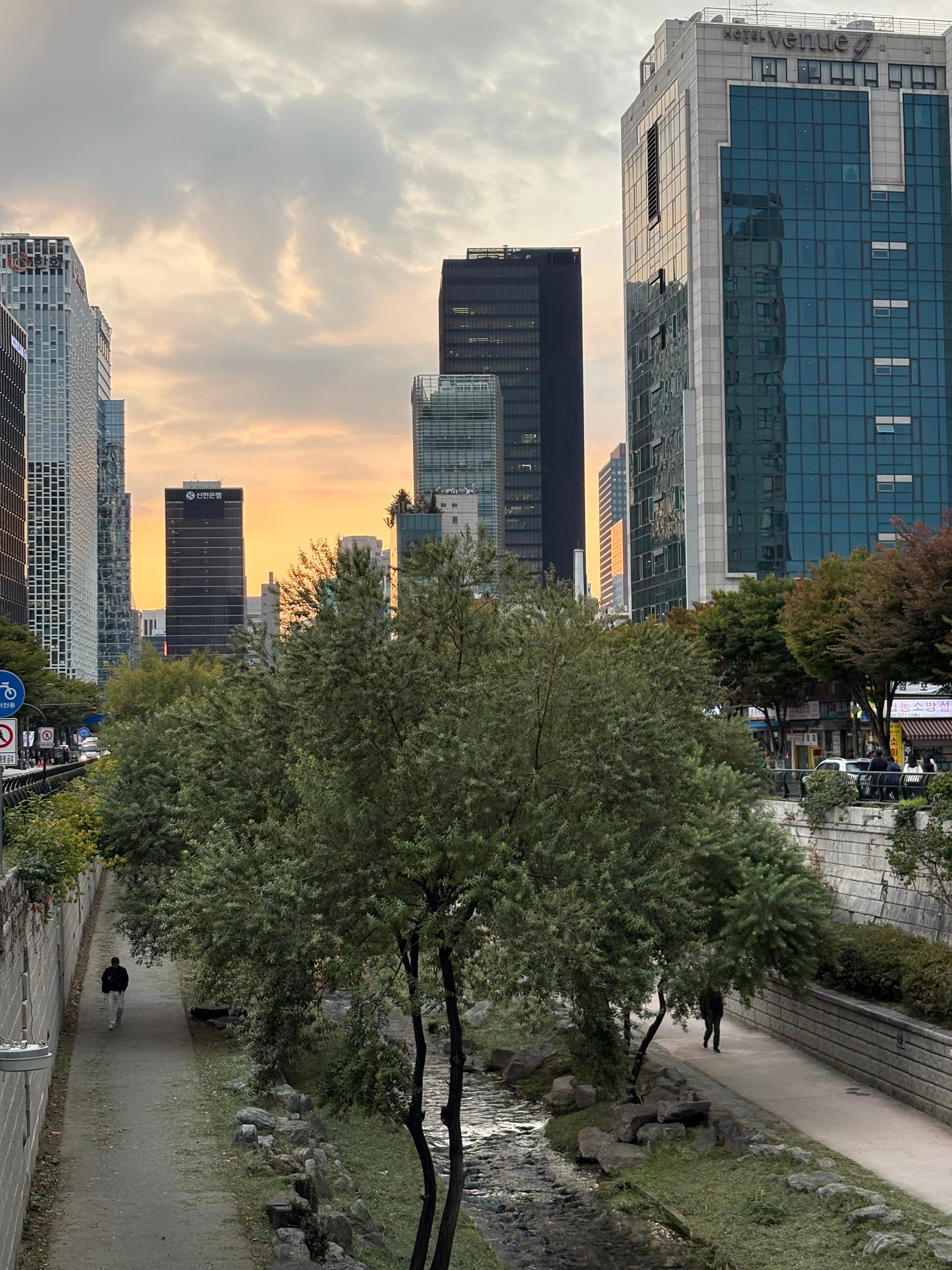 힙지로의 낭만과 온기: 대동옥부터 을지로베로나, 청계천까지 이어지는 완벽 데이트 코스