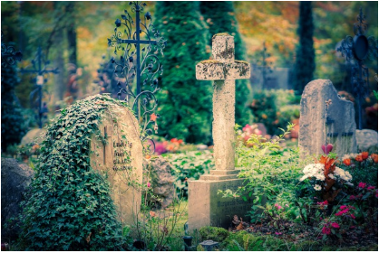 반려묘 장례 문화의 변화