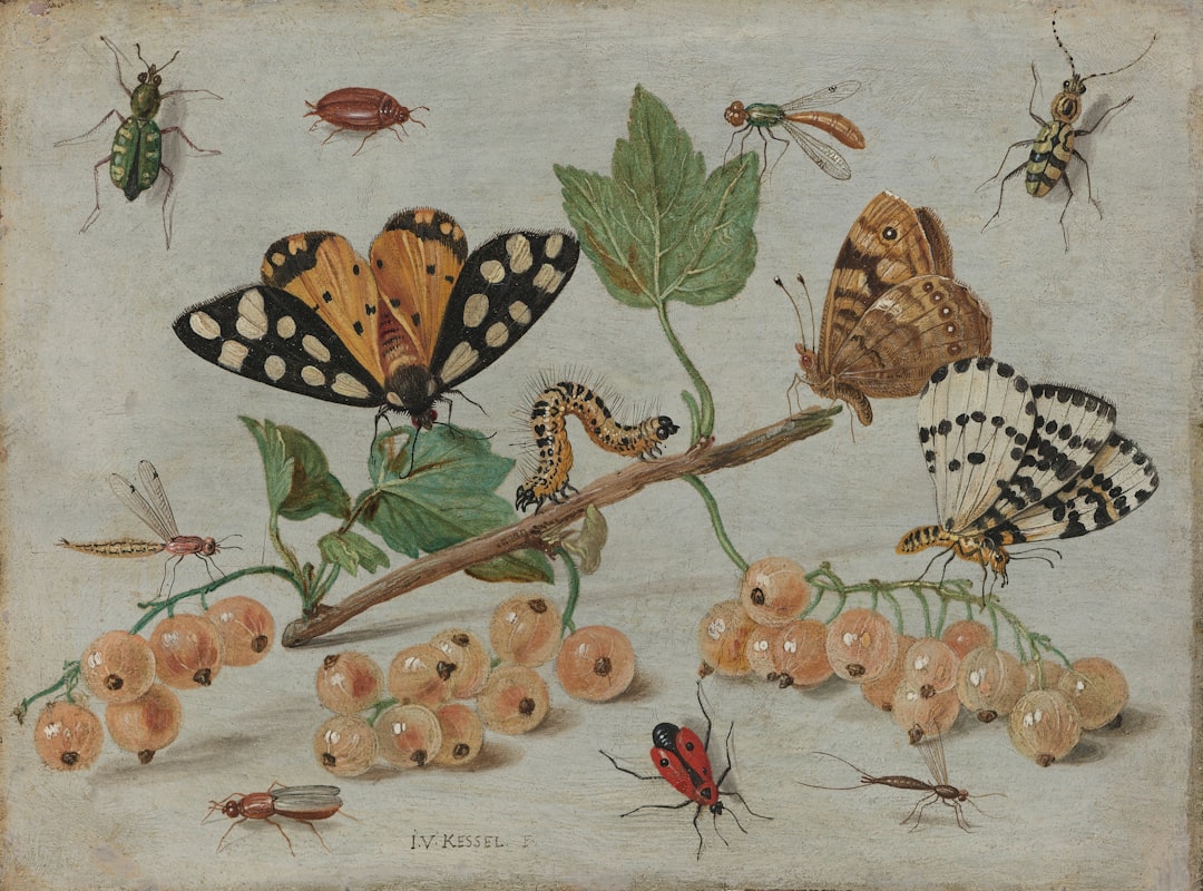 Illustration