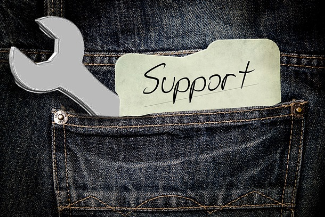 강남구 유기동물 입양비 지원 신청 방법: 입양부터 혜택까지