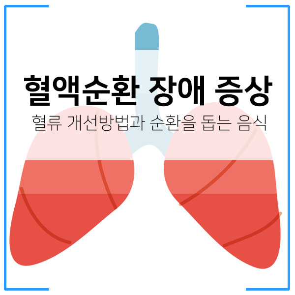 혈액순환 장애 증상 개선방법과 음식