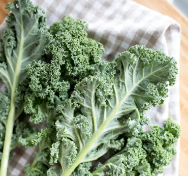 마그네슘 하루 권장량 성인 섭취량 부작용