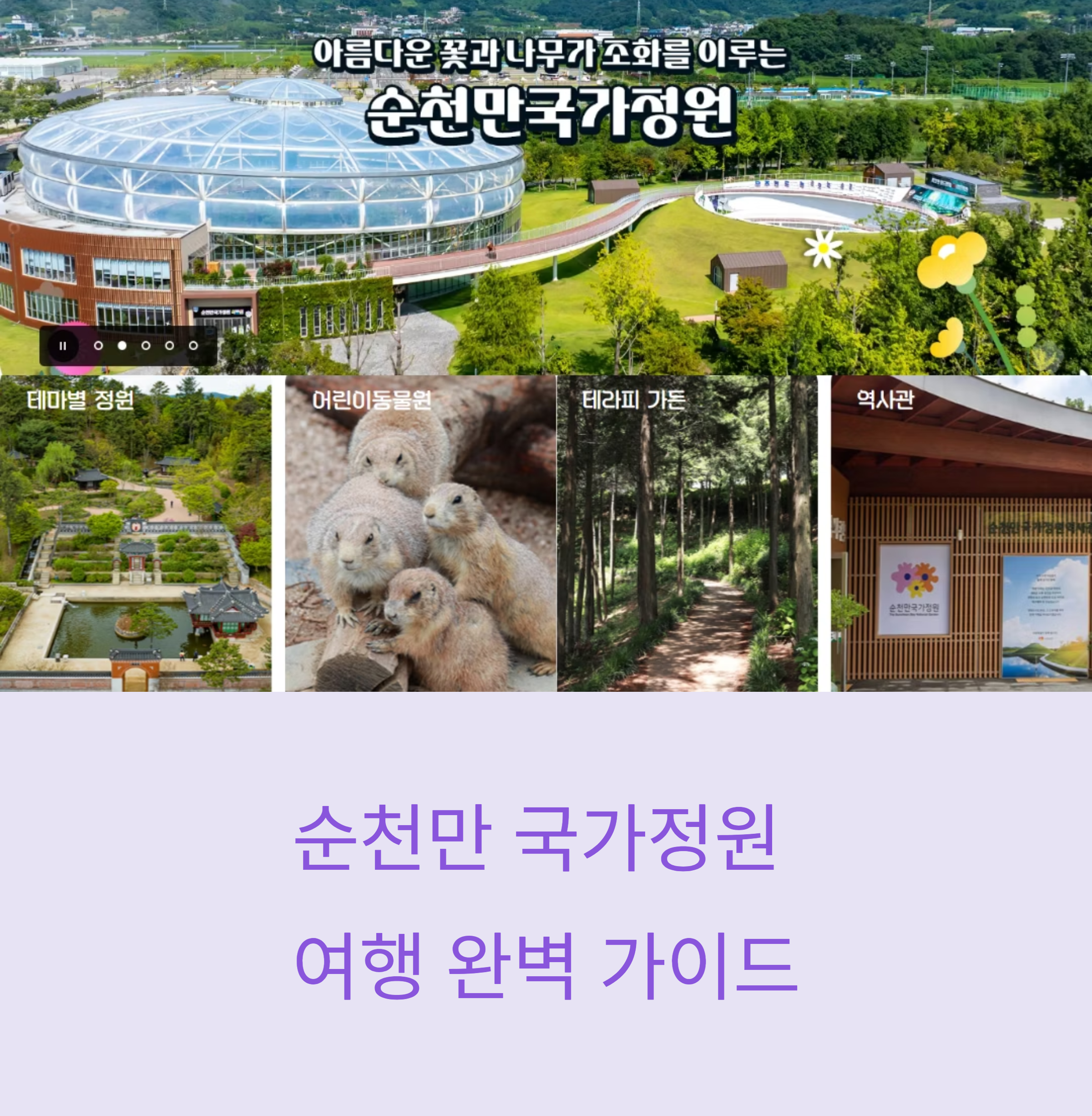 순천만 국가정원 여행 완벽 가이드 꿀팁부터 명소까지 총정리