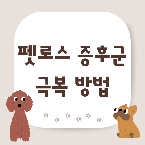 펫로스 증후군 극복 방법