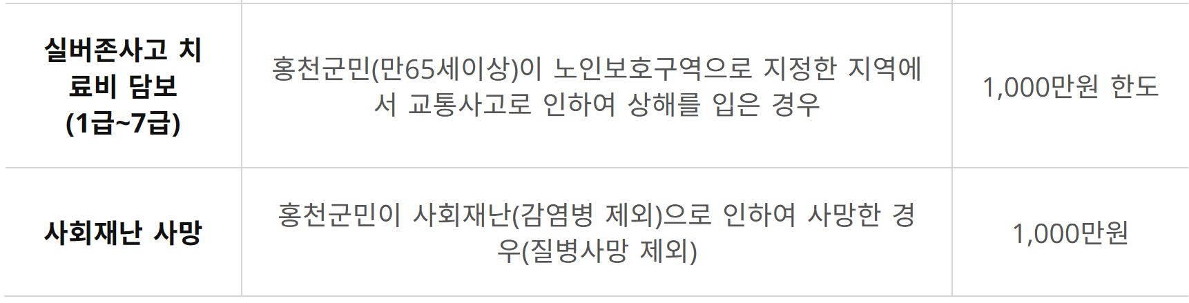 홍천군 군민안전보험