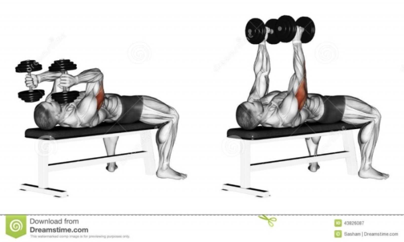 트라이셉스 익스텐션