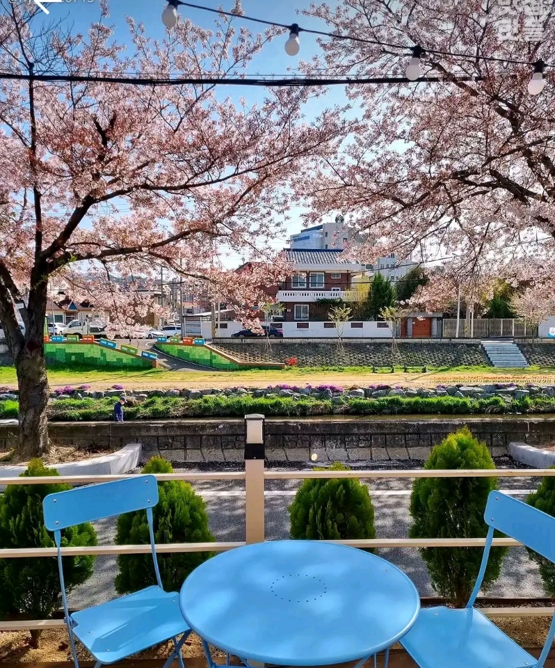 블루부코 카페 테이블 사진