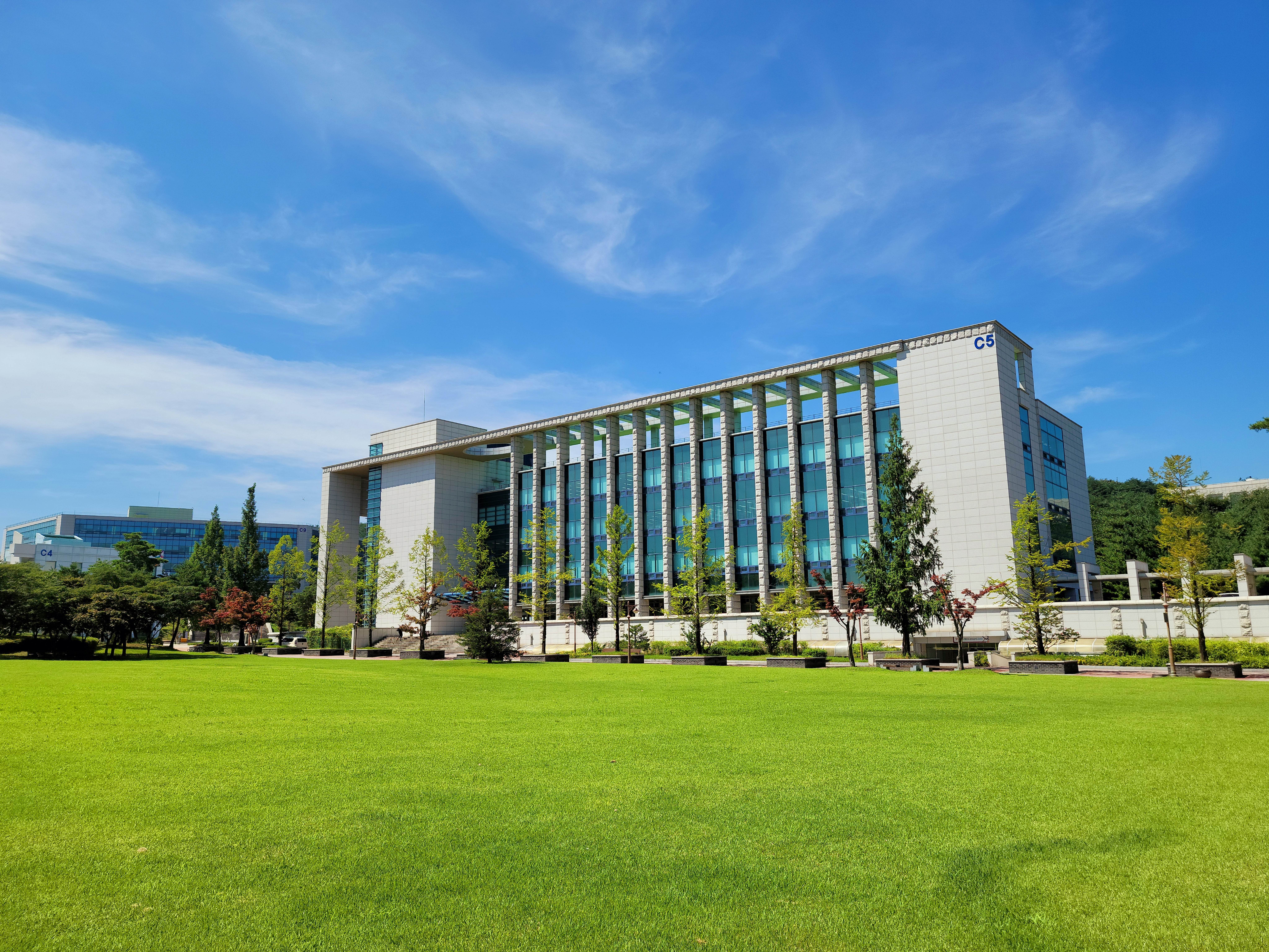 케이프 브레튼 대학교