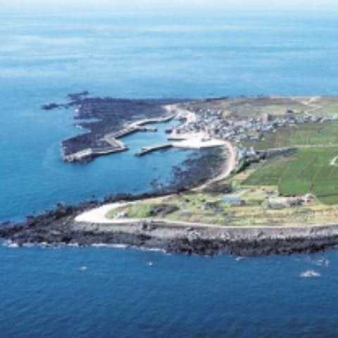 가파도 청보리 축제